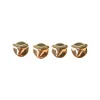 Jewelry<Citrine Swim Shark Tooth Shirt Studs